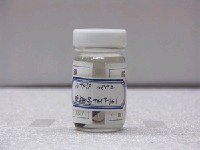 藏品(矮冠鳚)的圖片